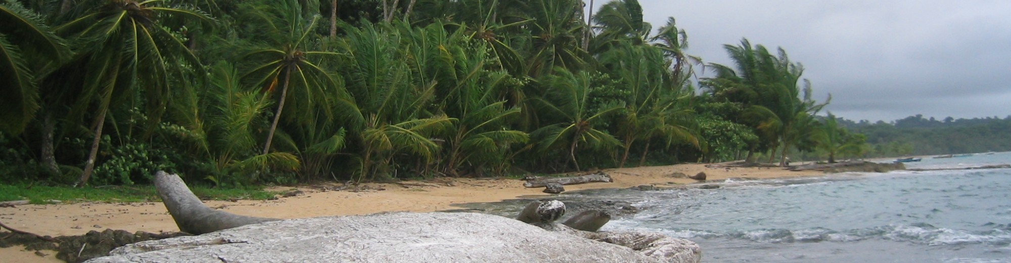 Rulando en familia es…